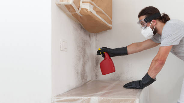 Professional Mold Removal technician working in Hibernia, NJ